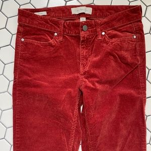 Calvin Klein cranberry red velvet legging/pants